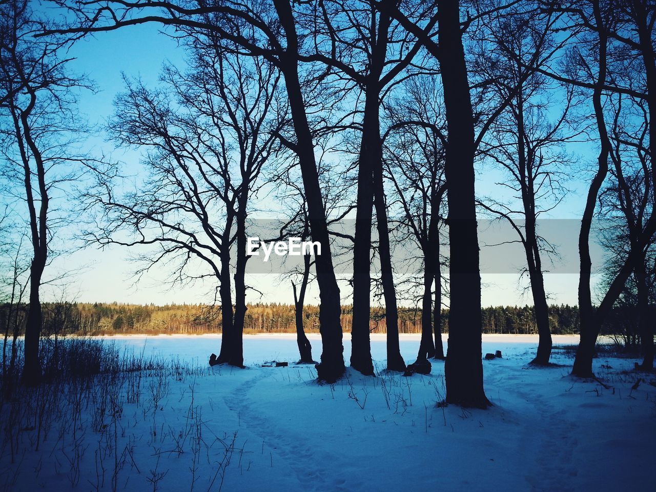 Winter morning on a lake in the woods