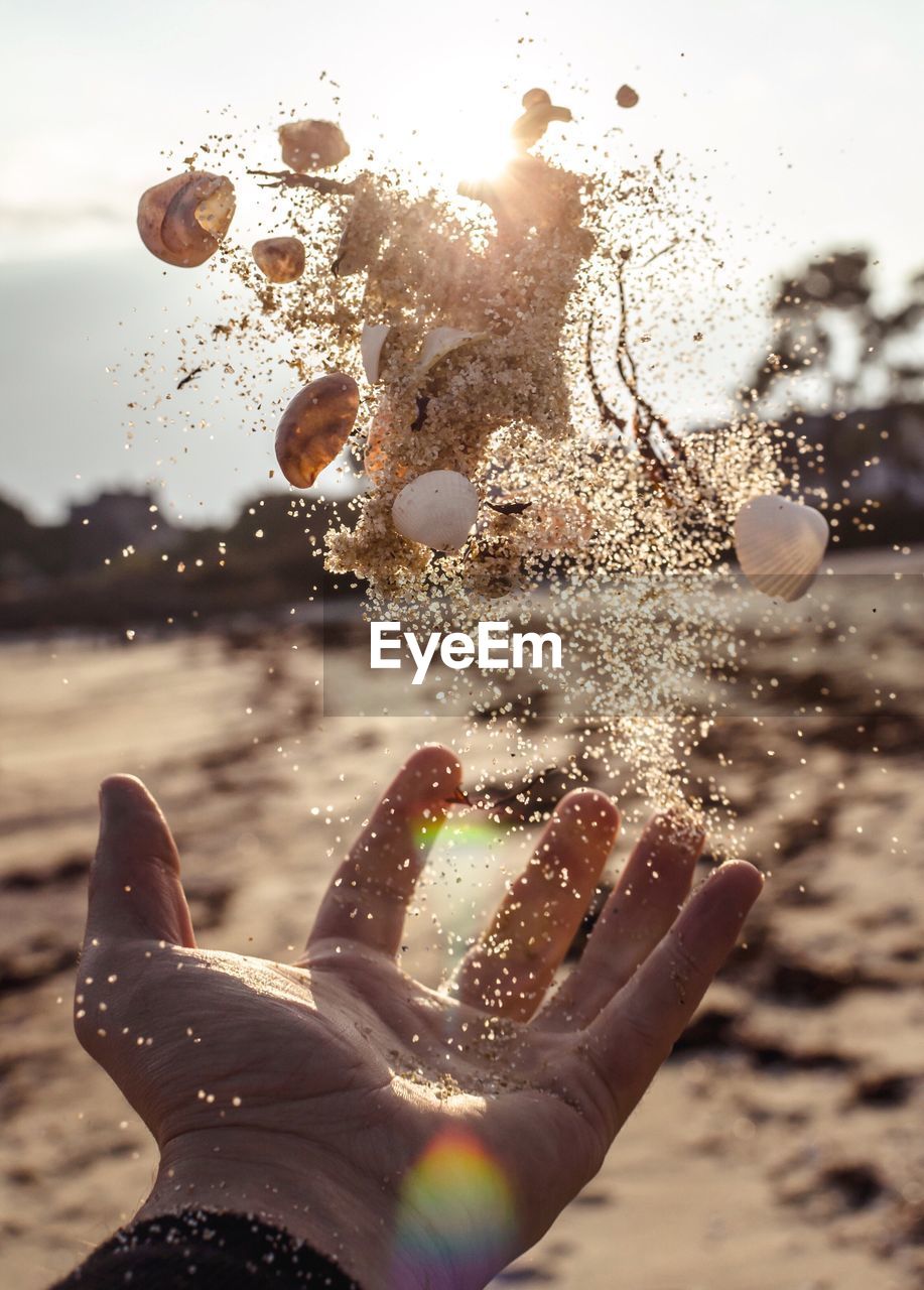 Cropped hand of person catching sand and seashells at beach against sky