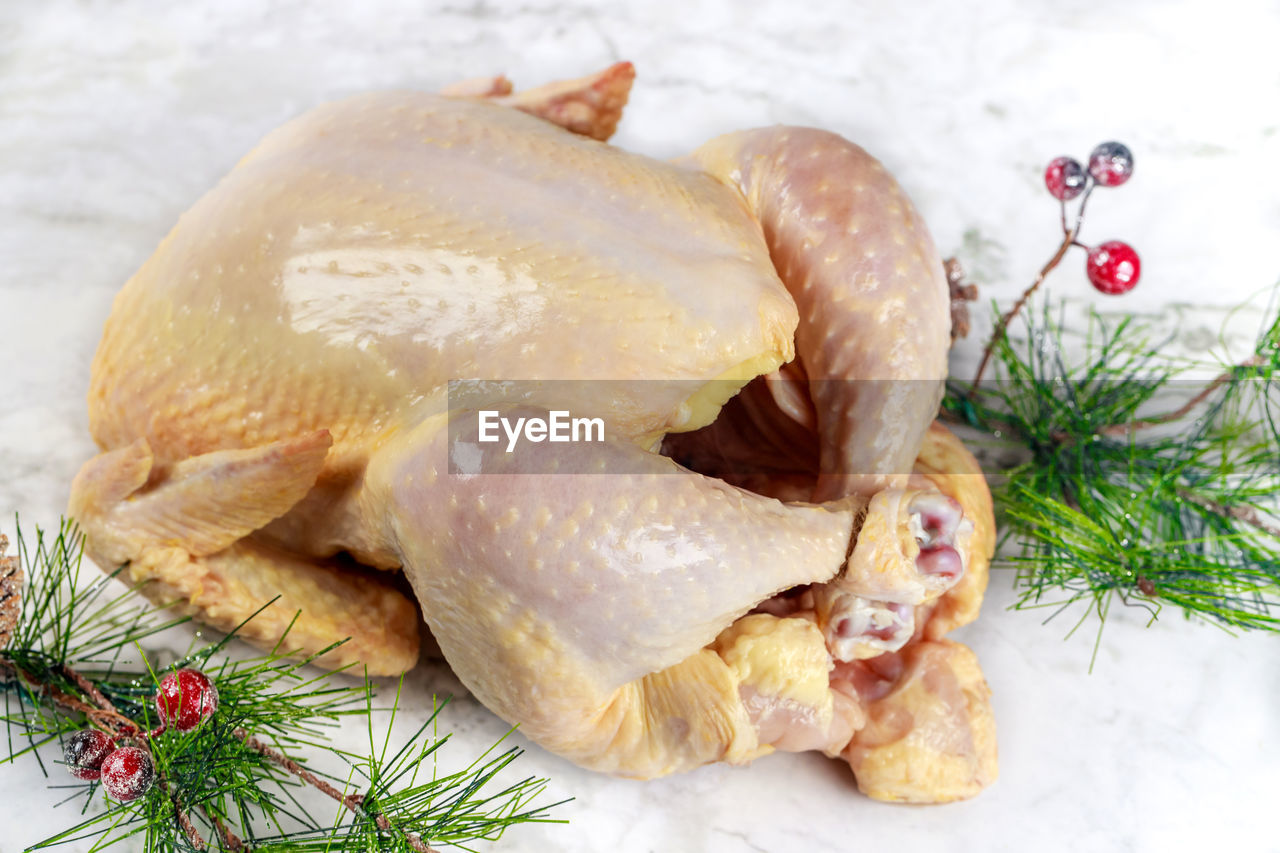 food, food and drink, turkey meat, bird, dish, christmas, winter, plant, holiday, healthy eating, celebration, meat, freshness, rosemary, no people, animal, indoors, herb, cold temperature, nature, chicken meat, wellbeing, tree, roast goose, studio shot, fish, christmas tree