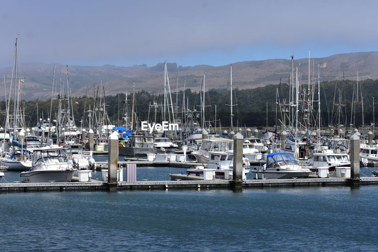 Sailboats moored at harbor against sky