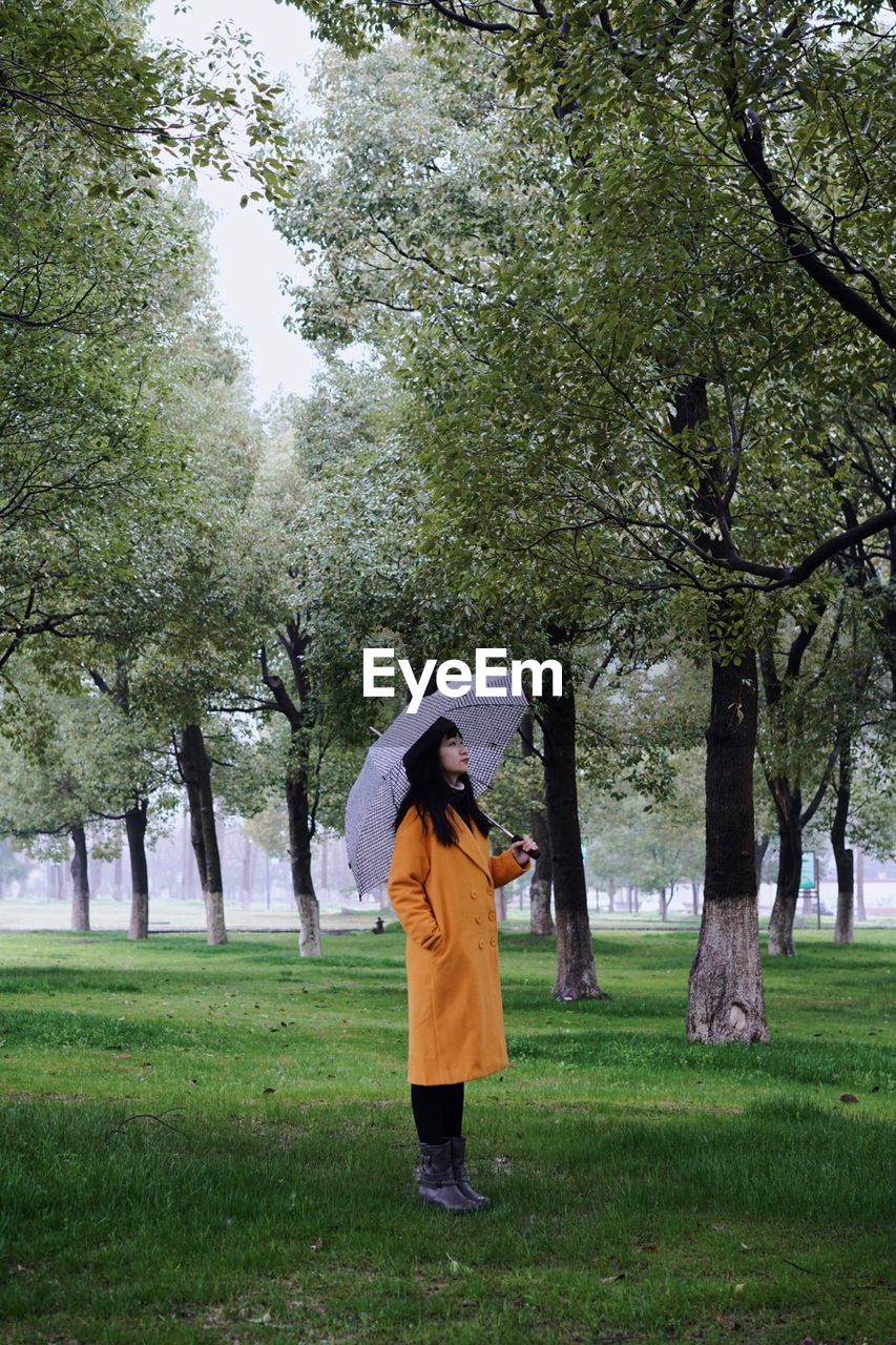 Full length side view of woman with umbrella standing in park during rainy season