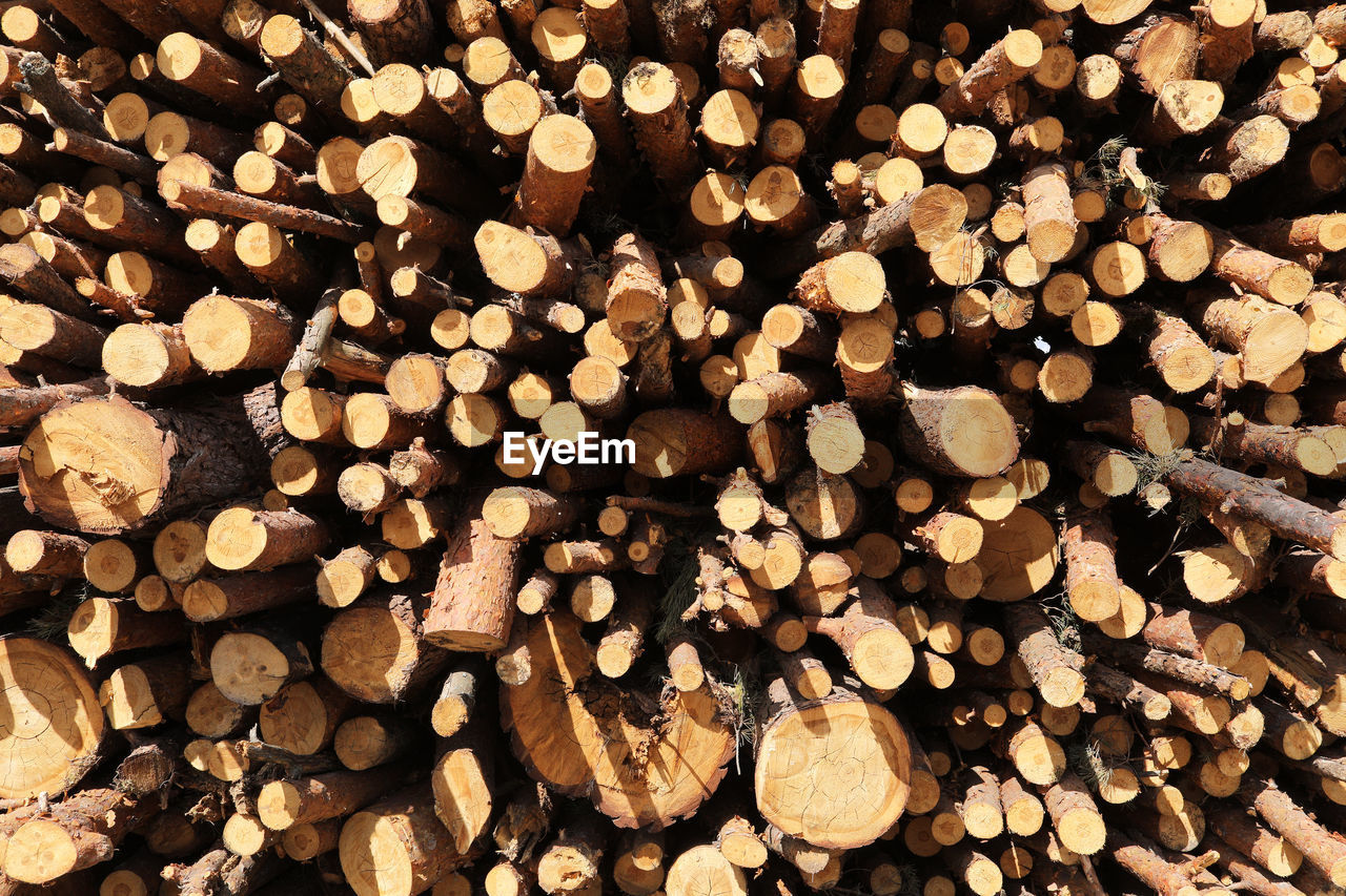 log, firewood, timber, lumber industry, large group of objects, wood, abundance, forest, deforestation, tree, backgrounds, full frame, power generation, environmental issues, fossil fuel, woodpile, no people, heap, close-up, branch, nature, soil, logging, leaf, environmental damage, shape, pattern, outdoors, brown