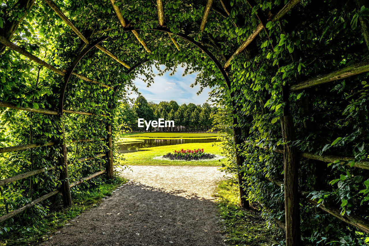 FOOTPATH AMIDST TREES AND PLANTS IN PARK