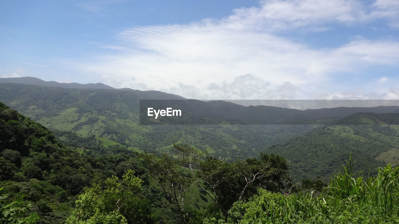 SCENIC VIEW OF GREEN LANDSCAPE AGAINST SKY