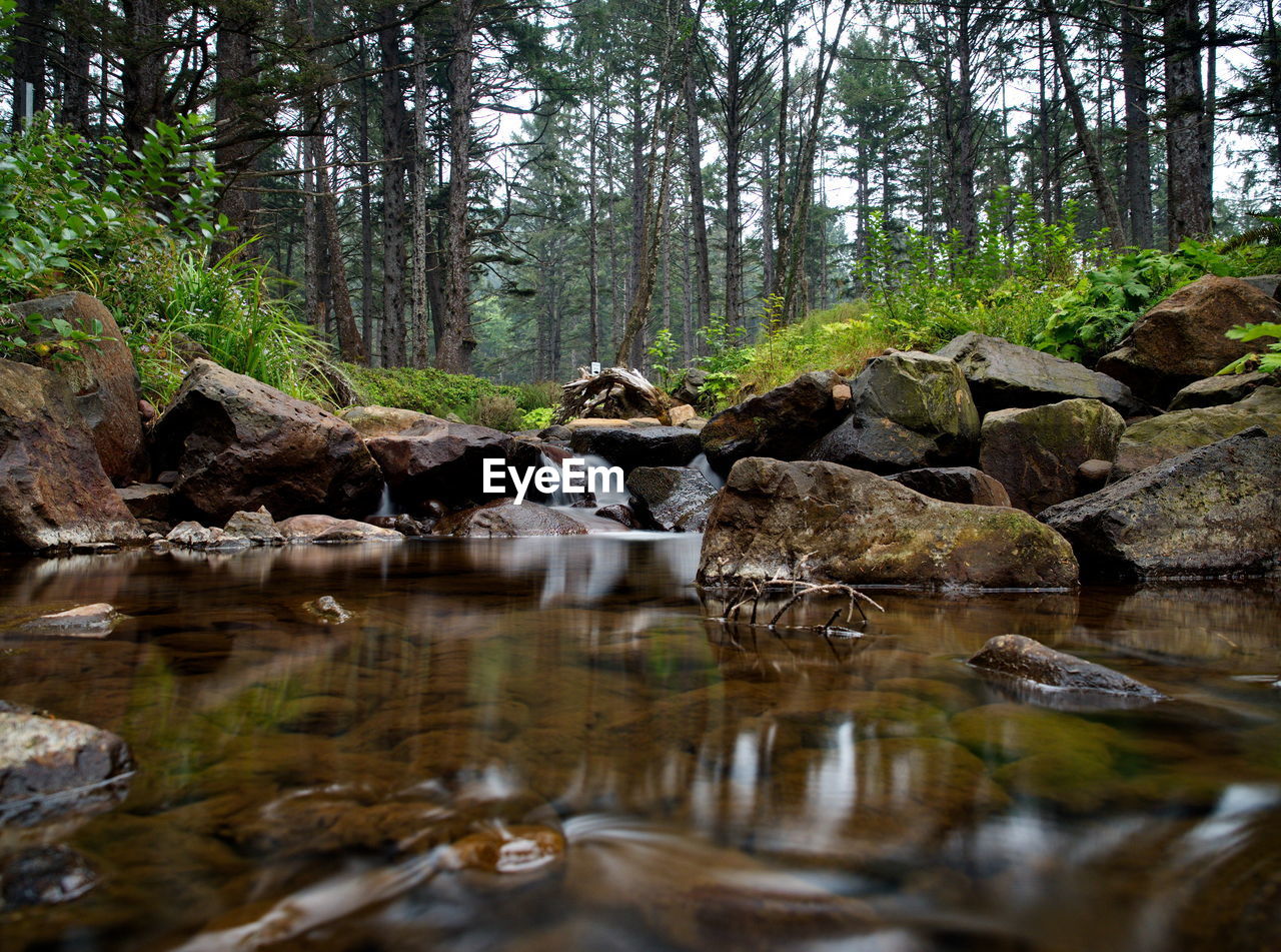 REFLECTION OF ROCKS IN WATER