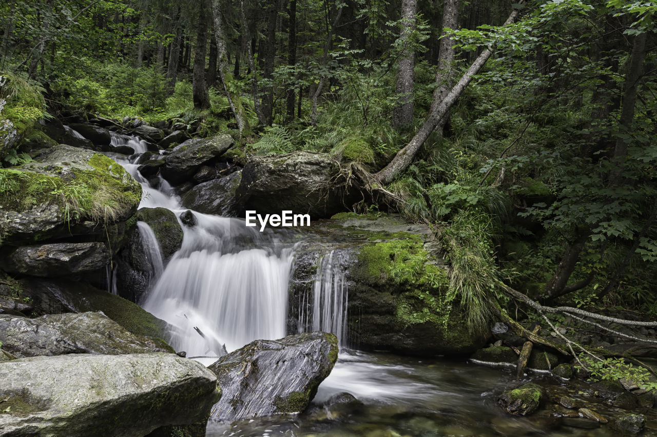 SCENIC VIEW OF STREAM FLOWING THROUGH ROCKS IN FOREST