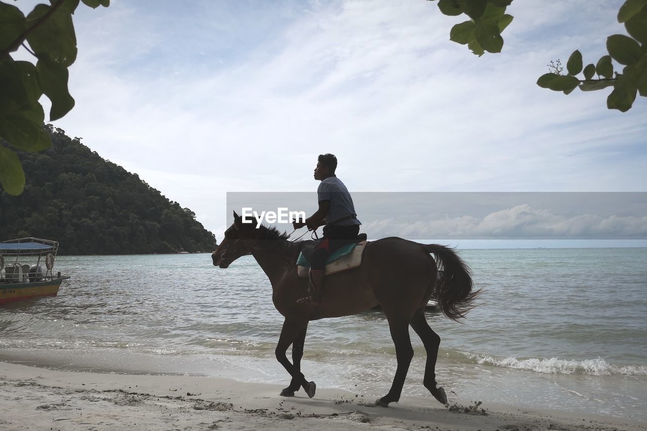 Man riding horse on beach