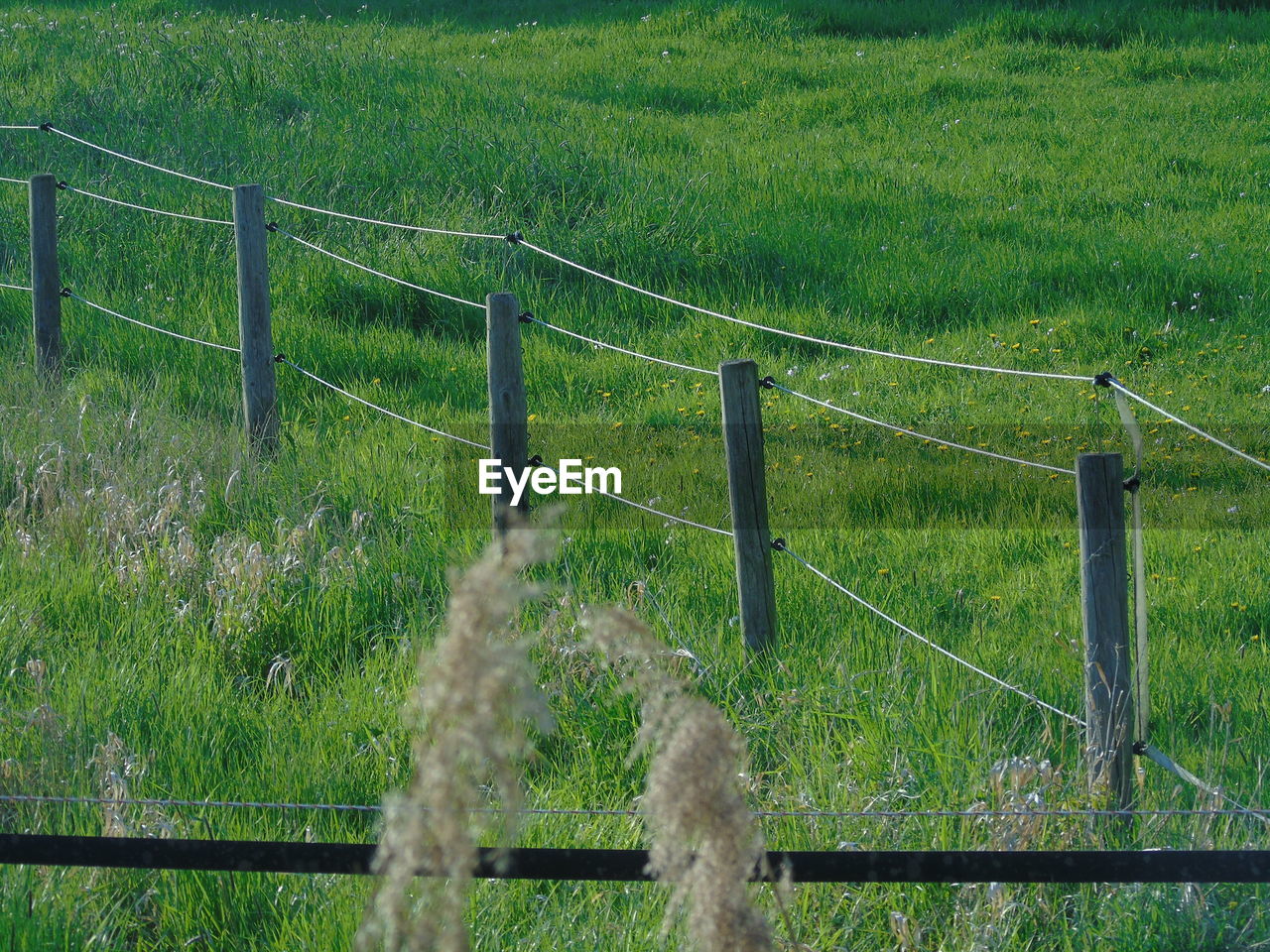 RAILING ON FIELD