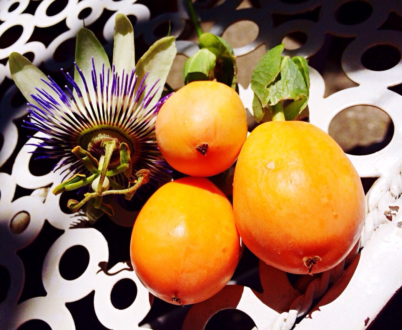 Close-up of passion flower and fruits on table