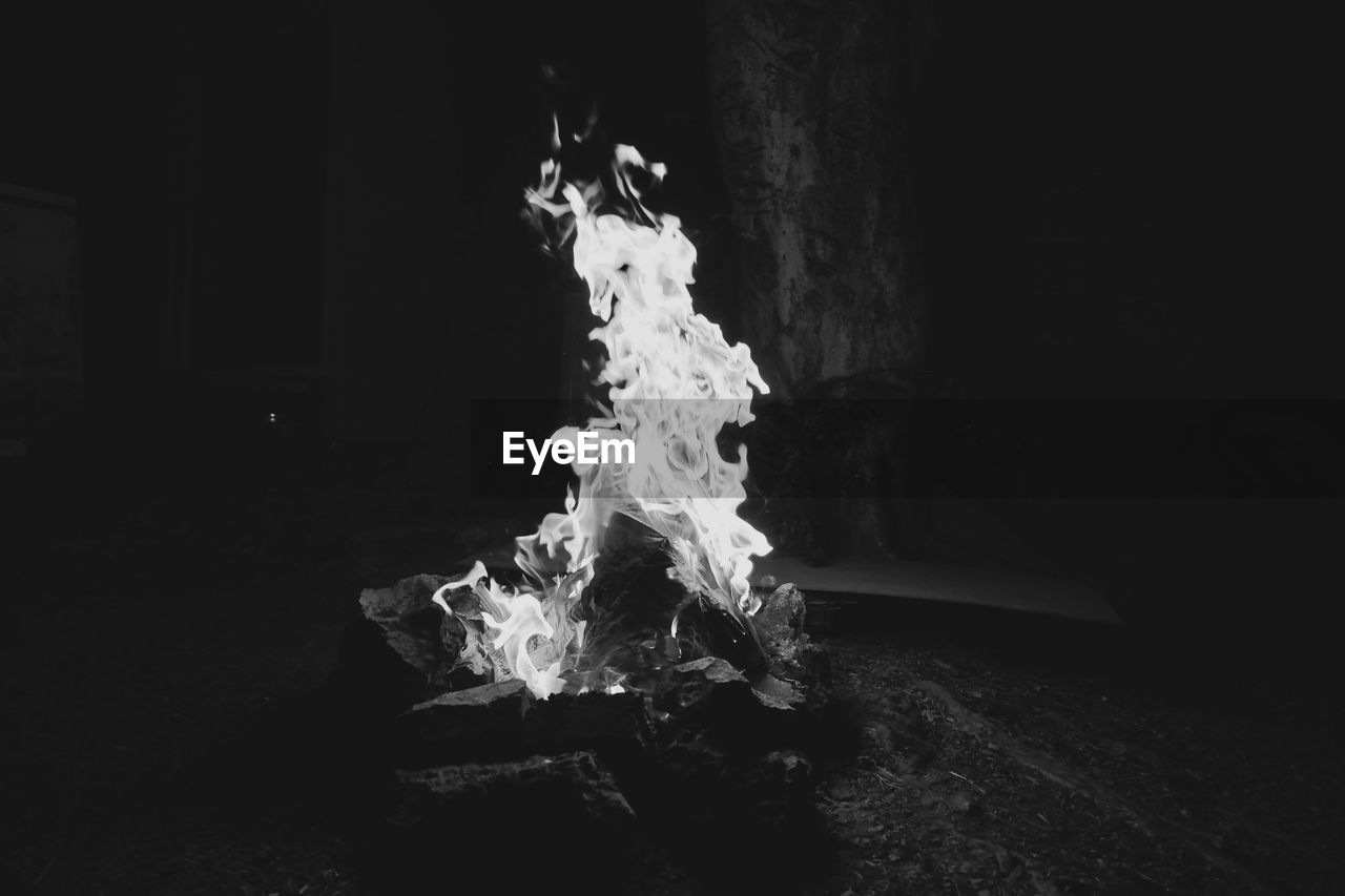 BONFIRE ON LOG IN DARK
