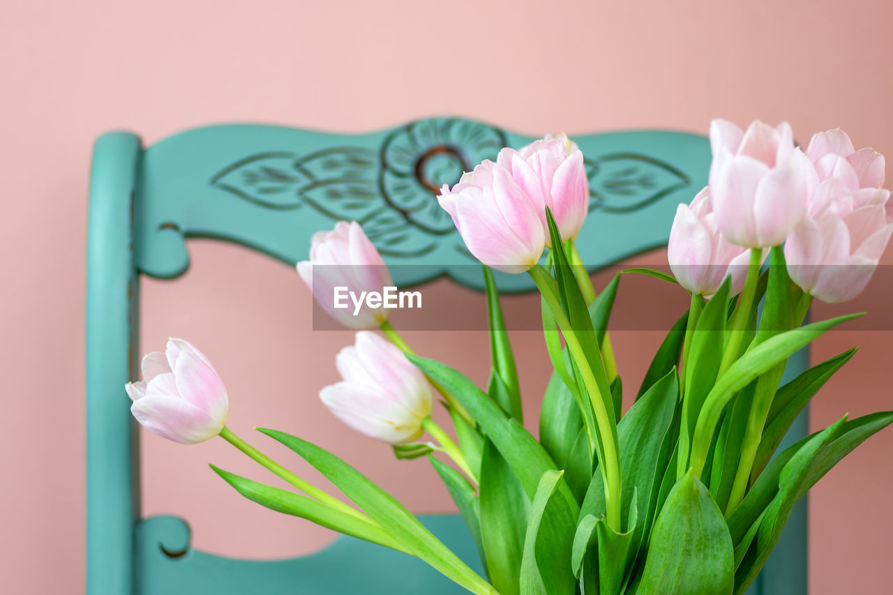 CLOSE-UP OF PINK FLOWER VASE