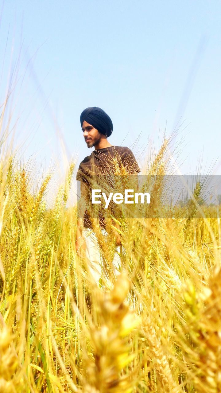 Young man standing on wheat field against clear sky