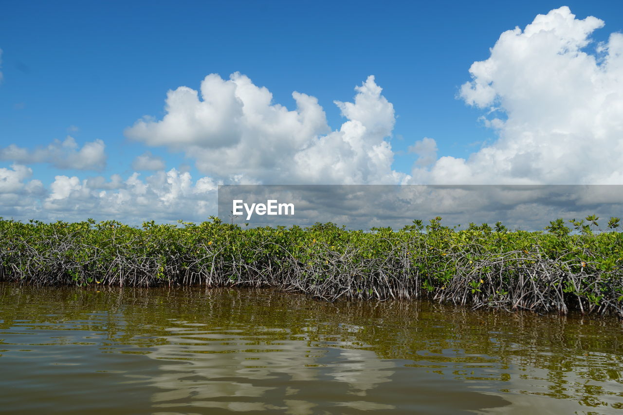 SCENIC VIEW OF LAKE BY TREES AGAINST SKY