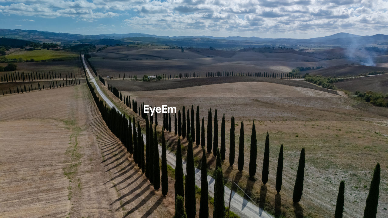 scenic view of agricultural field