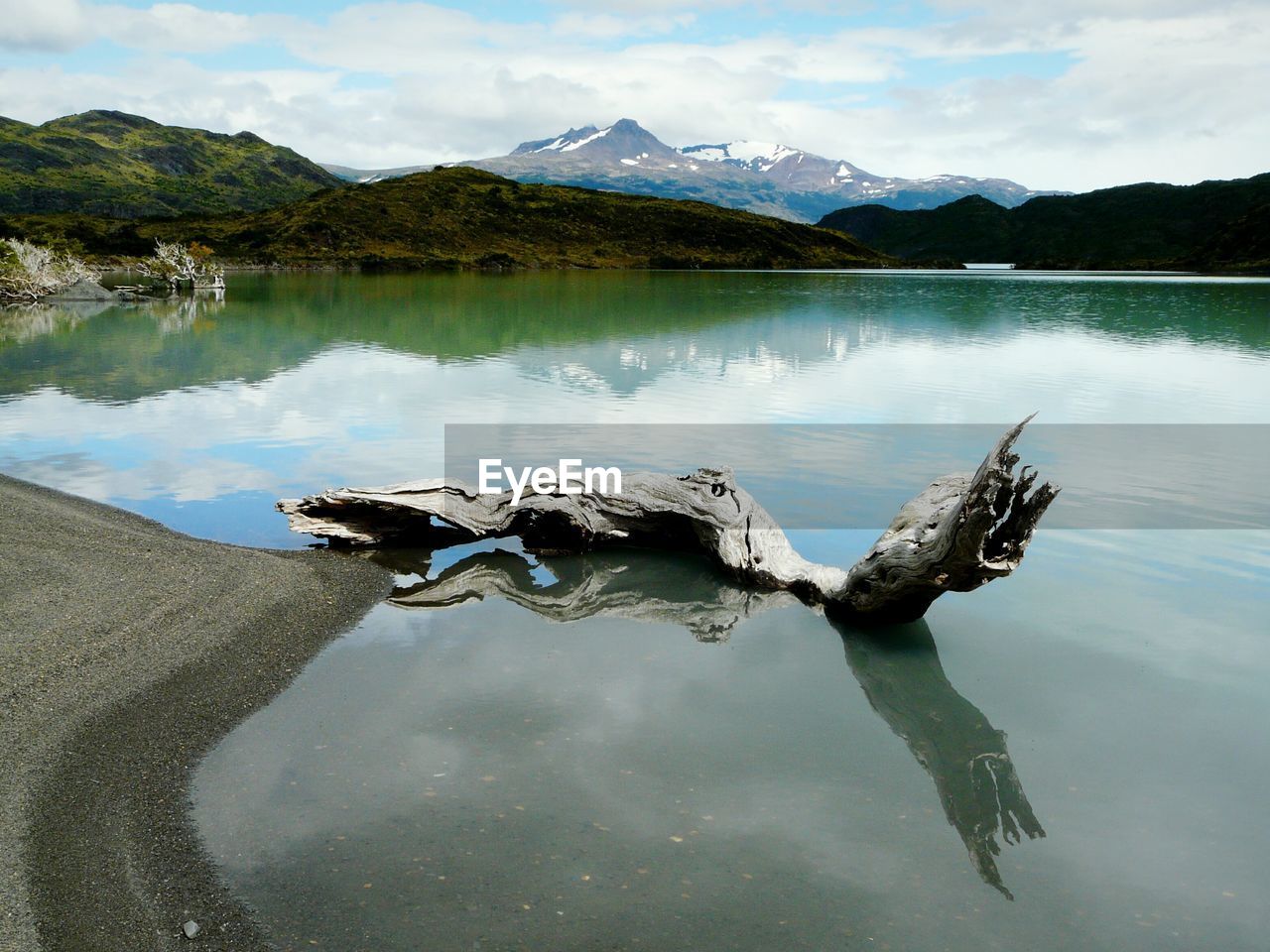 Driftwood on lake against cloudy sky