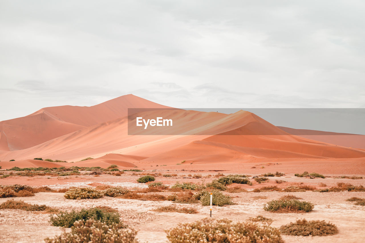 Scenic view of desert against sky