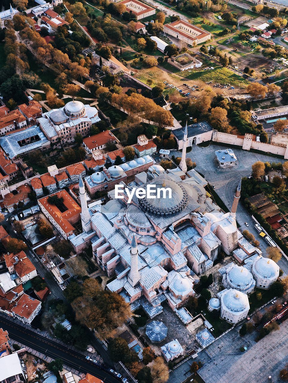 High angle view of trees and buildings in town