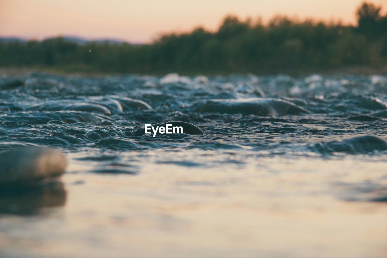 Close-up surface level of lake