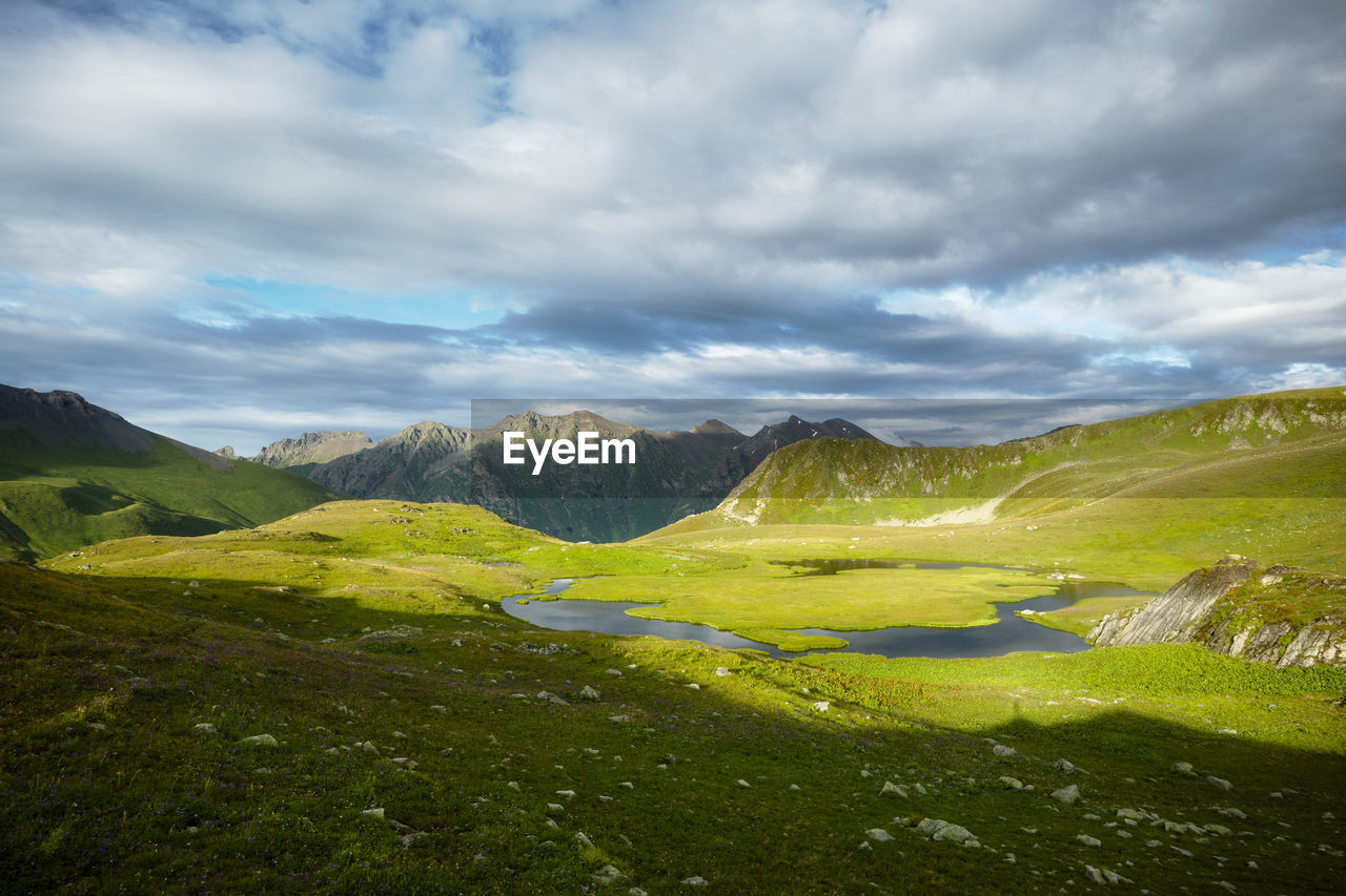 Mountain lake in summer with a flower meadow and mountains in the background. 