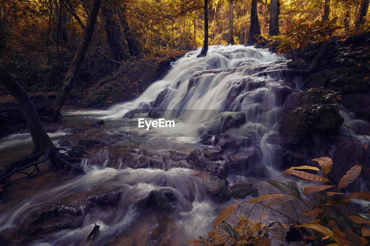 VIEW OF WATERFALL IN FOREST