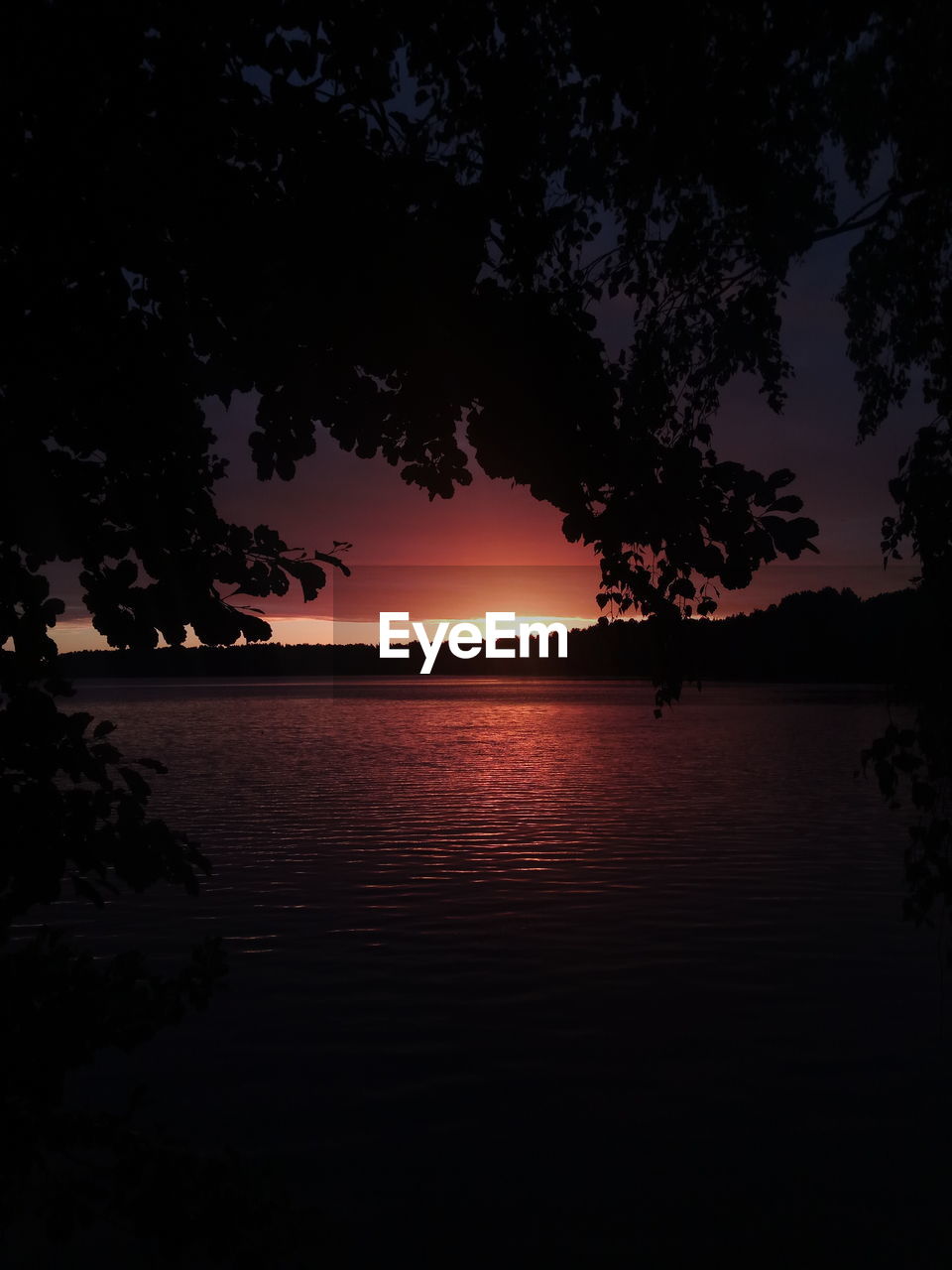 SCENIC VIEW OF LAKE BY SILHOUETTE TREES AGAINST SKY DURING SUNSET