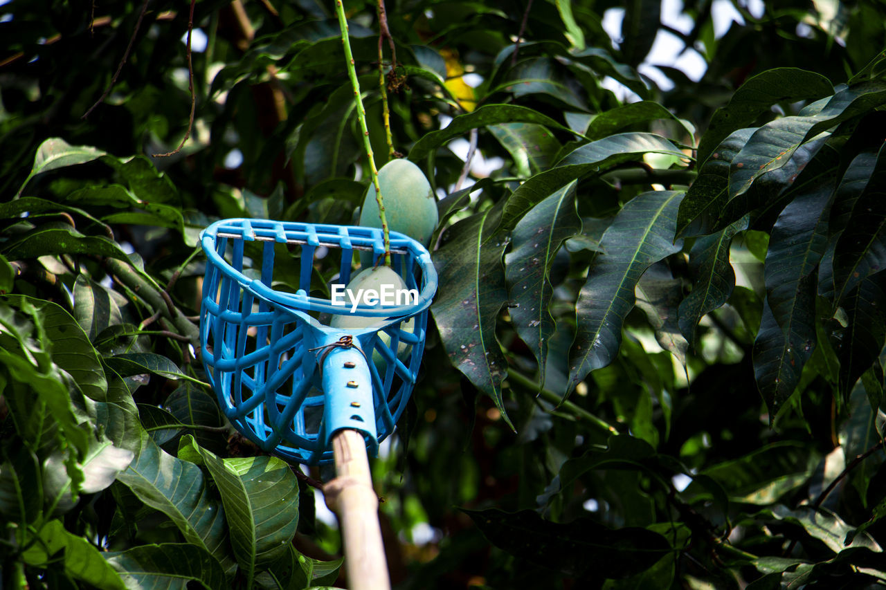 CLOSE-UP OF BLUE TOY CAR