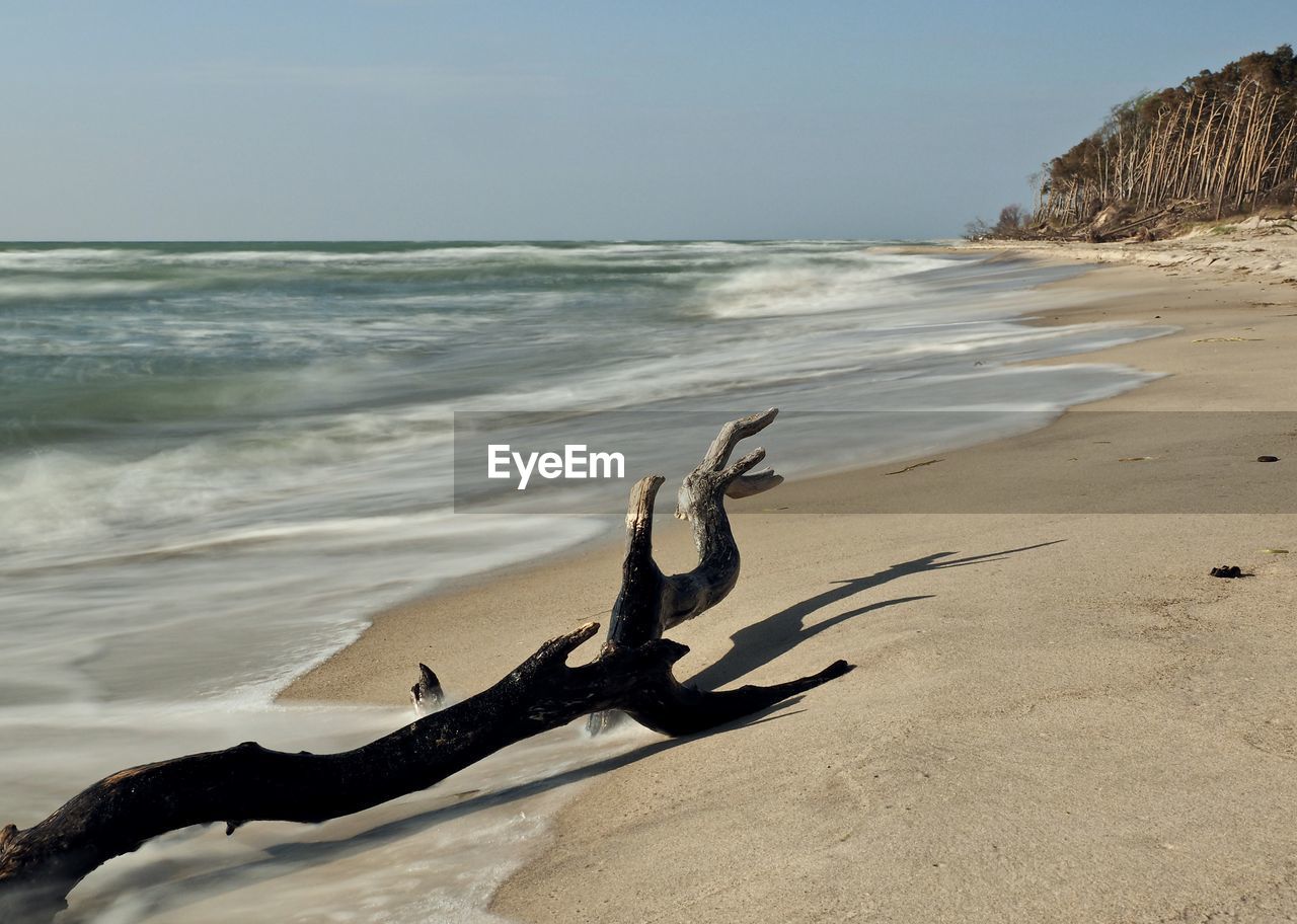 Driftwood on sand at beach against sky