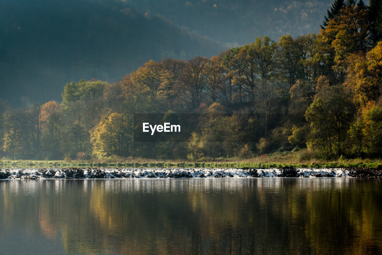 SCENIC VIEW OF LAKE AGAINST TREES