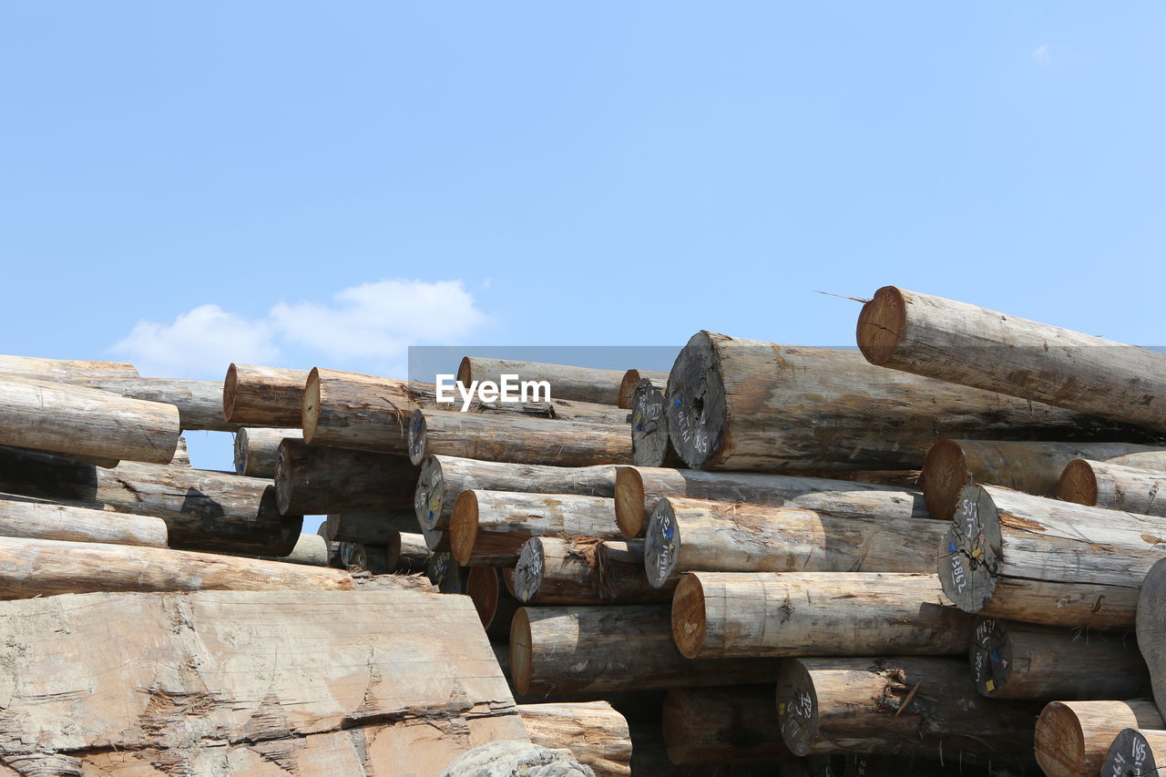 LOW ANGLE VIEW OF LOGS AGAINST BLUE SKY