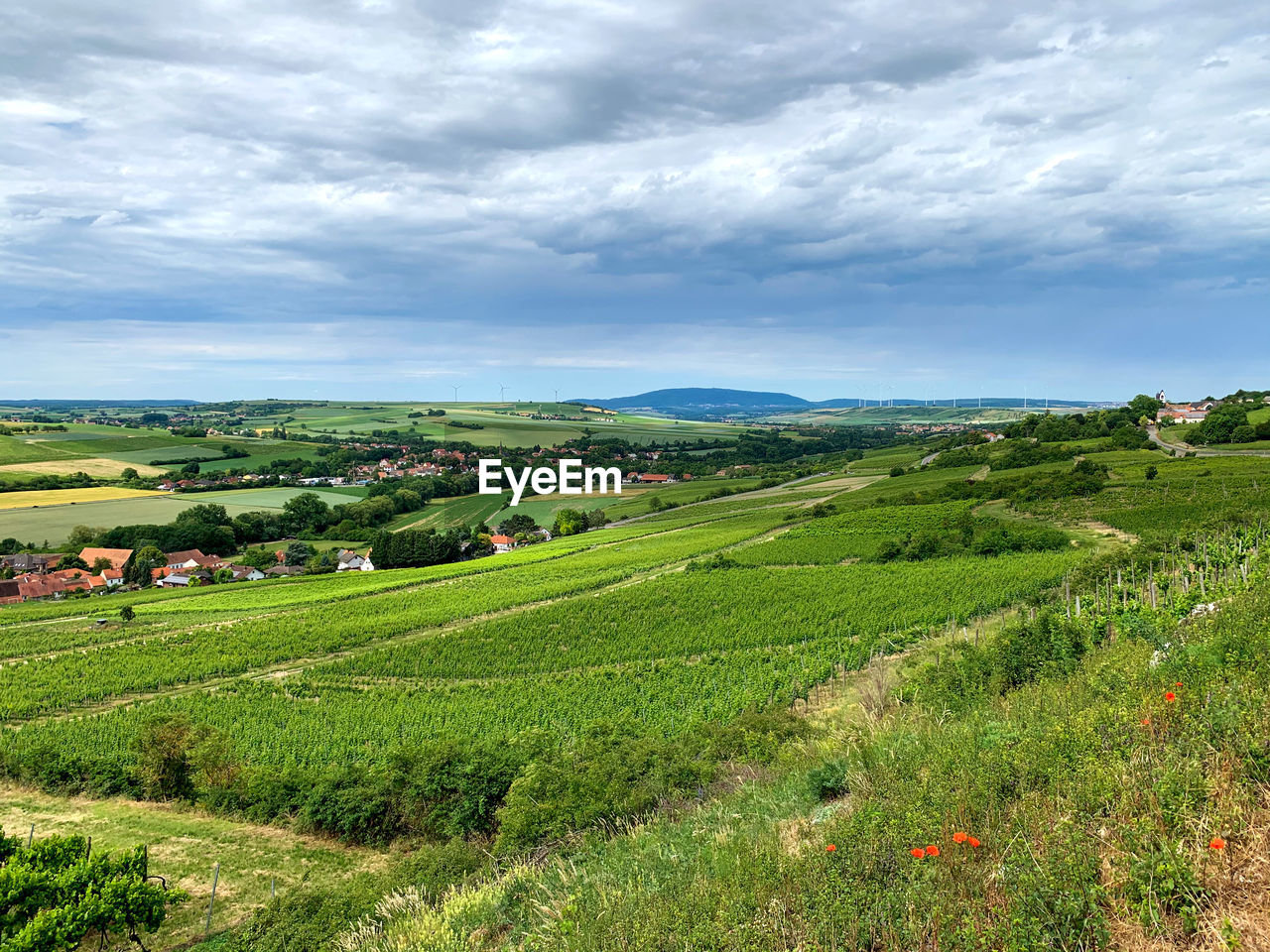 Scenic view of agricultural field against sky