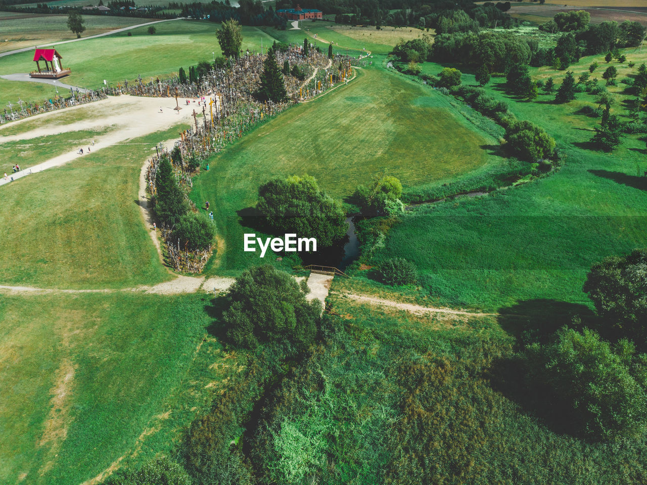 High angle view of agricultural field