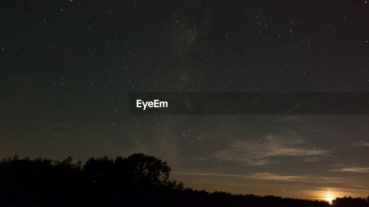 Low angle view of silhouette trees against star field