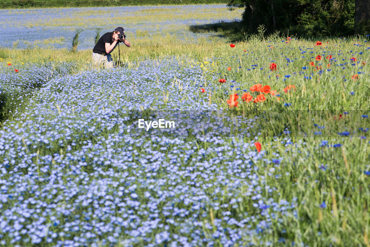 Photographer photographing flowers field through camera