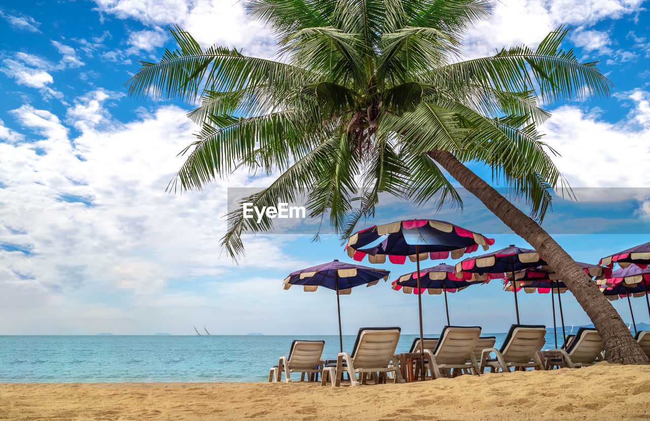 PALM TREES ON BEACH AGAINST SKY