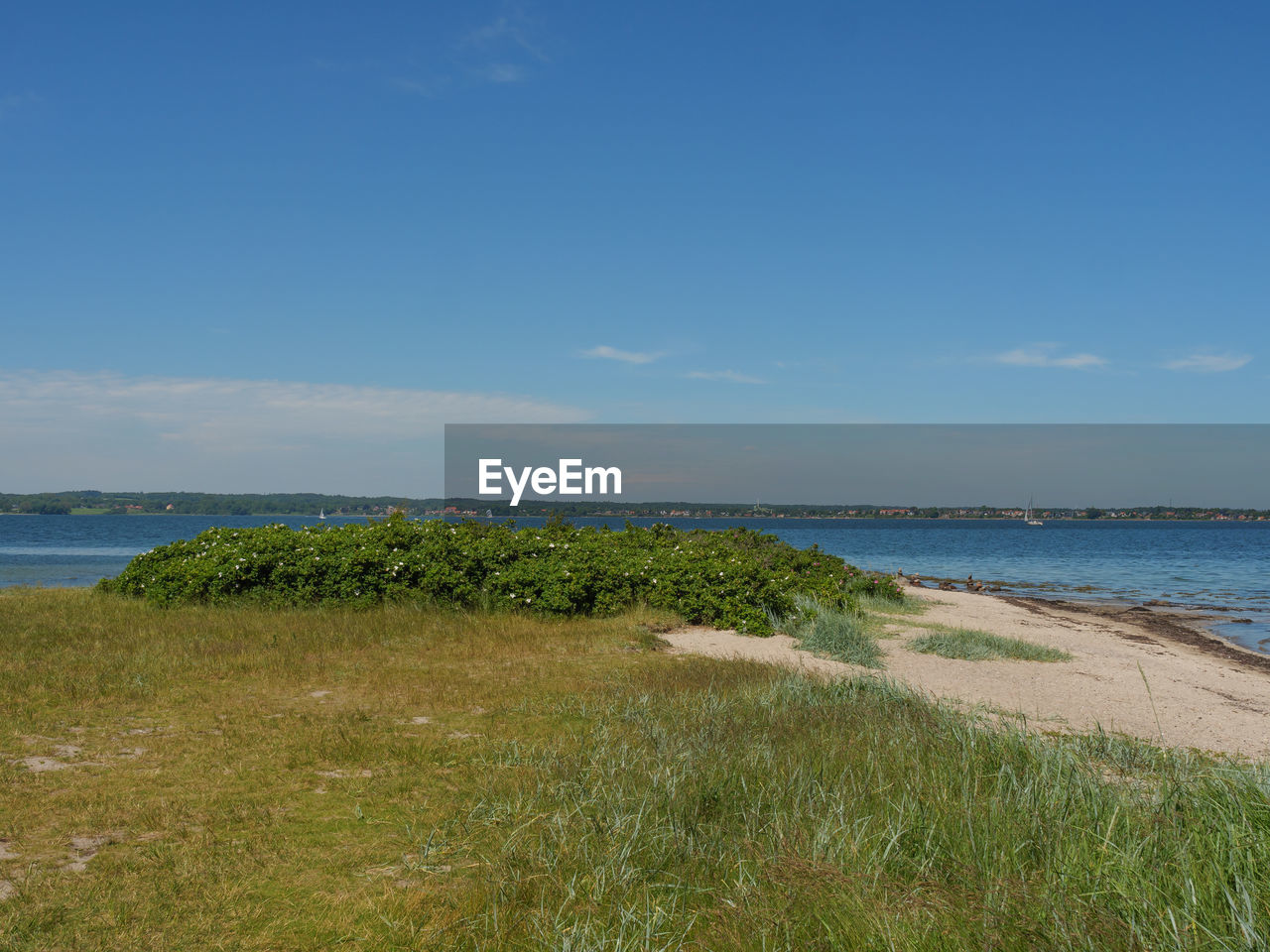 SCENIC VIEW OF BEACH AGAINST BLUE SKY