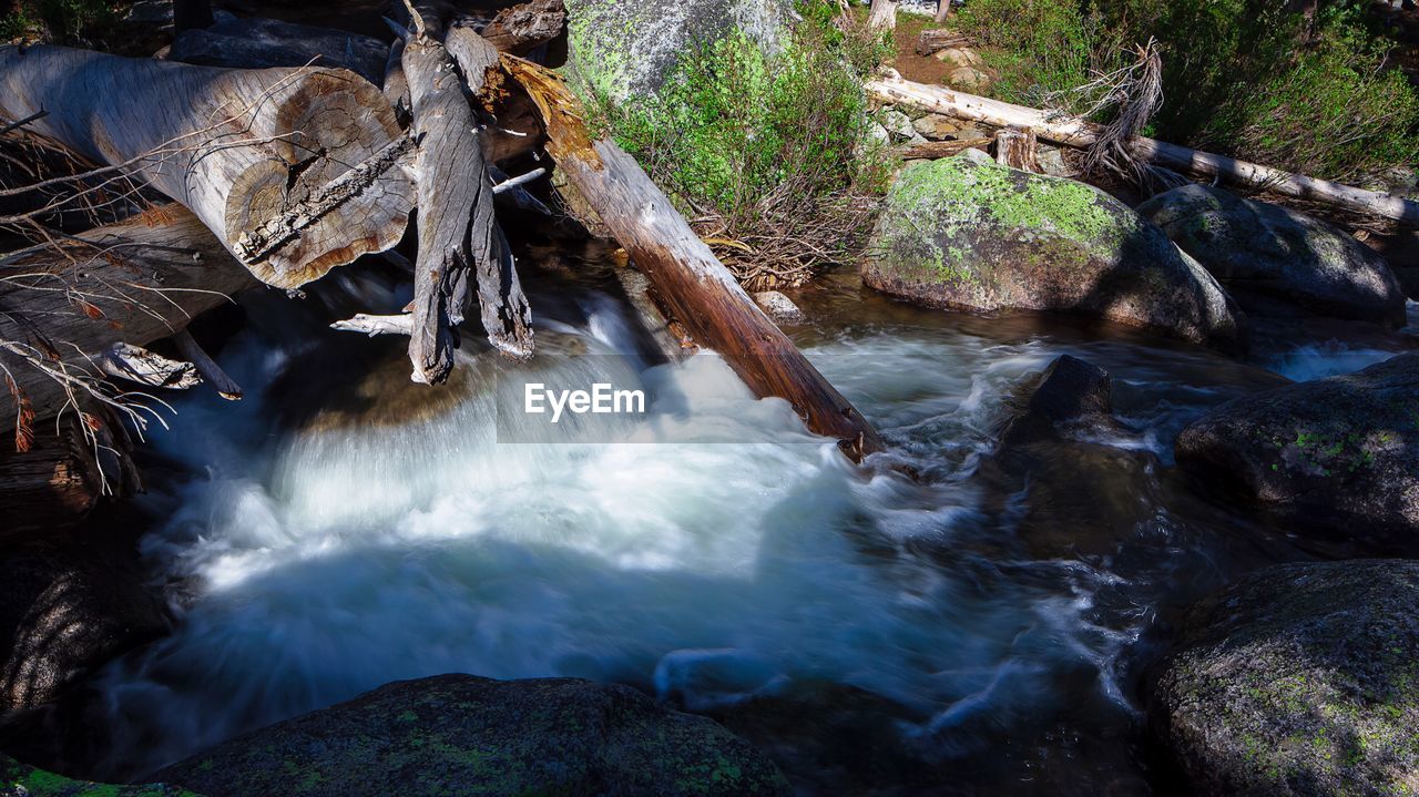 WATERFALL IN FOREST