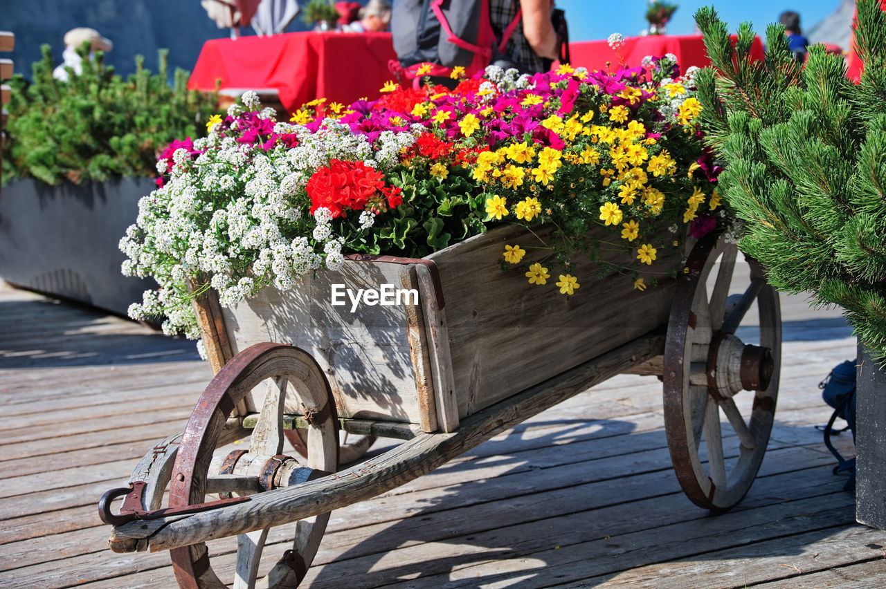 Rustic wooden wheelbarrow filled with colorful flowers