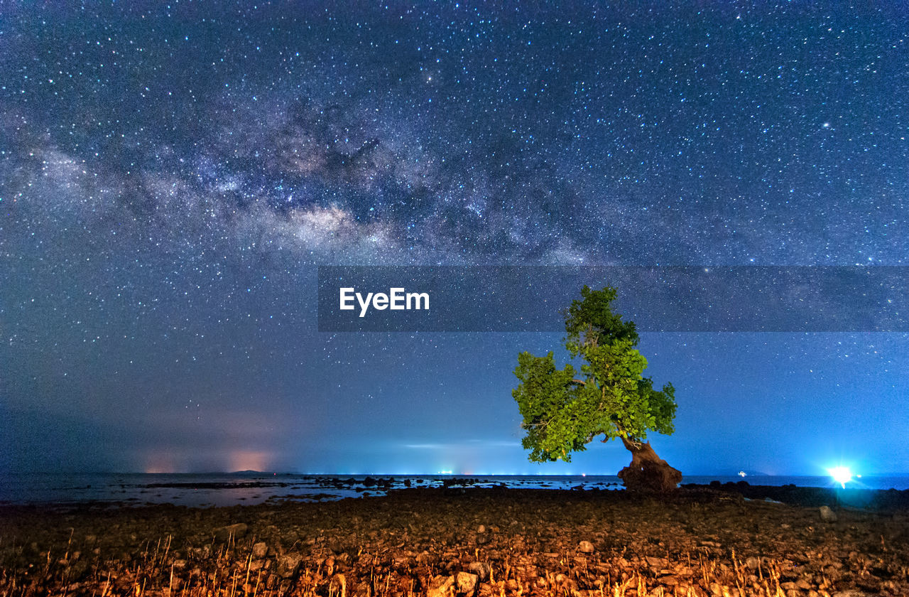 SCENIC VIEW OF TREES AGAINST STAR FIELD