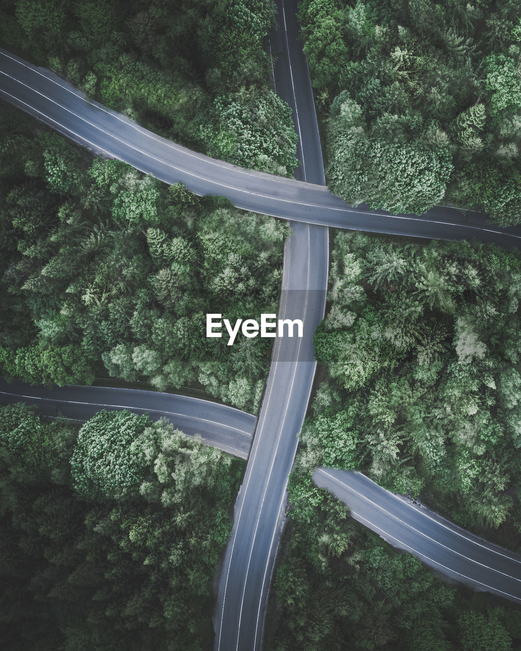 High angle view of road by trees in forest