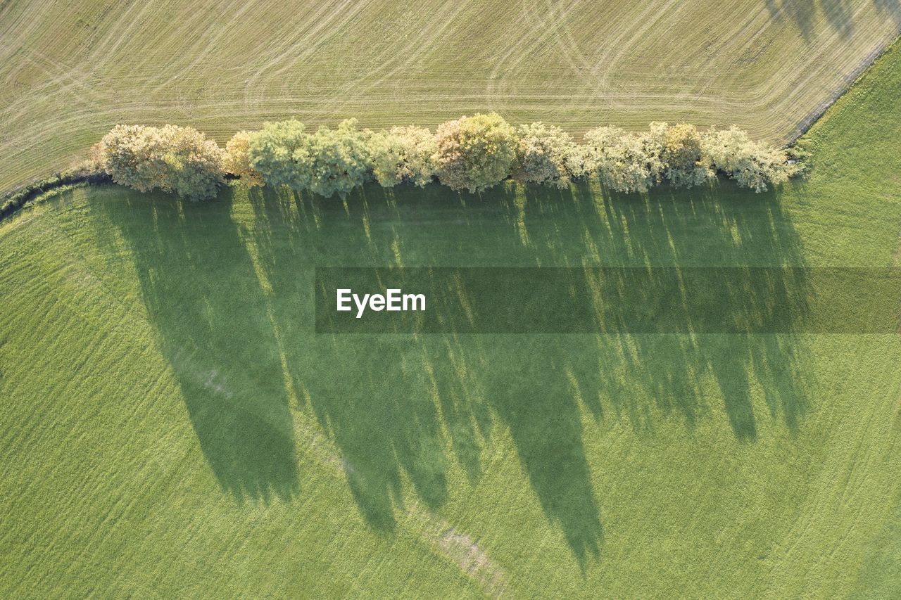 Countryside aerial view - trees line in between fields