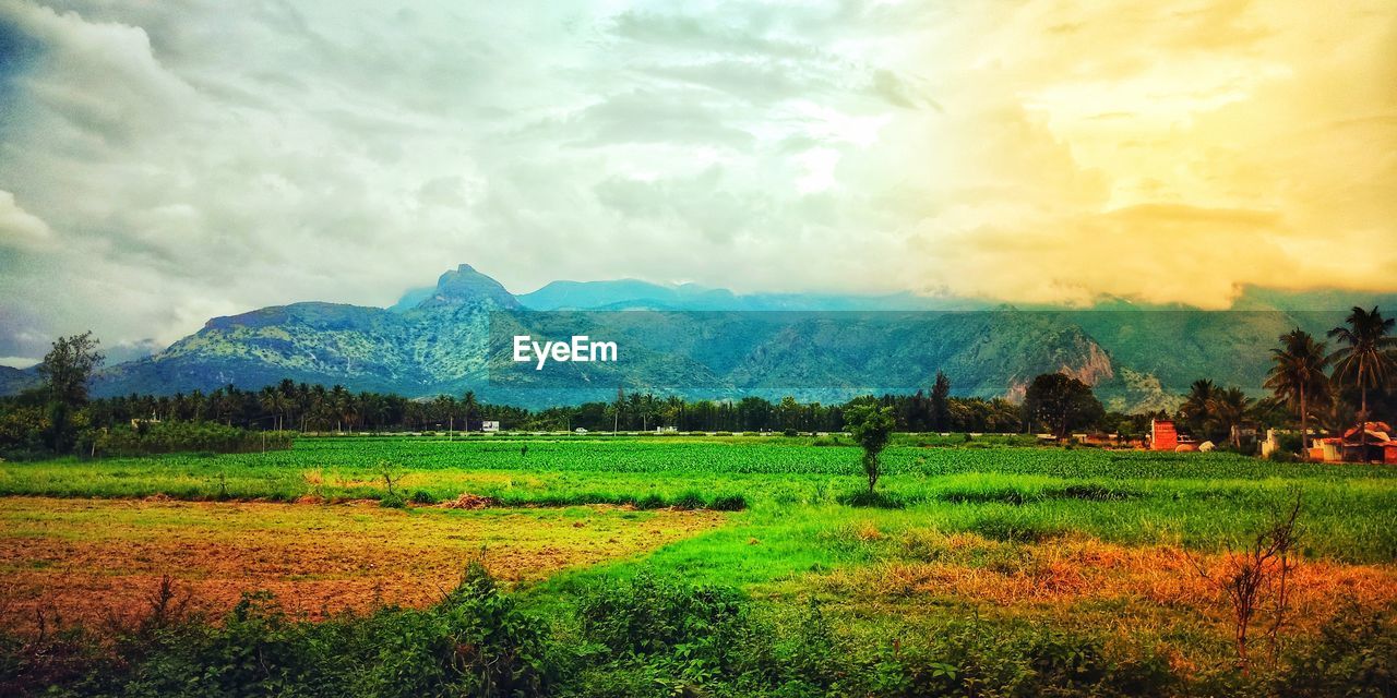 SCENIC VIEW OF FIELD AGAINST SKY DURING SUNRISE