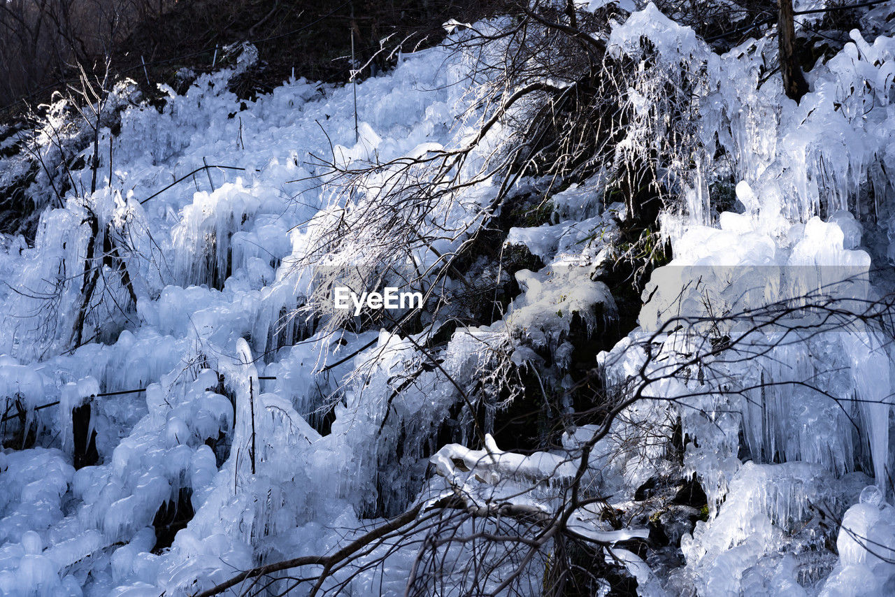 cold temperature, winter, snow, beauty in nature, nature, frozen, environment, ice, scenics - nature, no people, freezing, landscape, tranquility, white, non-urban scene, tree, land, day, outdoors, plant, tranquil scene, remote, idyllic, forest, high angle view, mountain