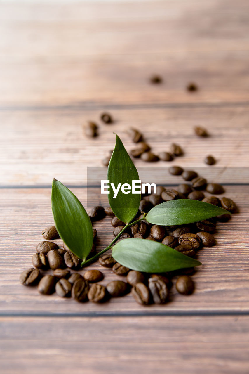 CLOSE-UP OF GREEN LEAVES ON WOODEN TABLE