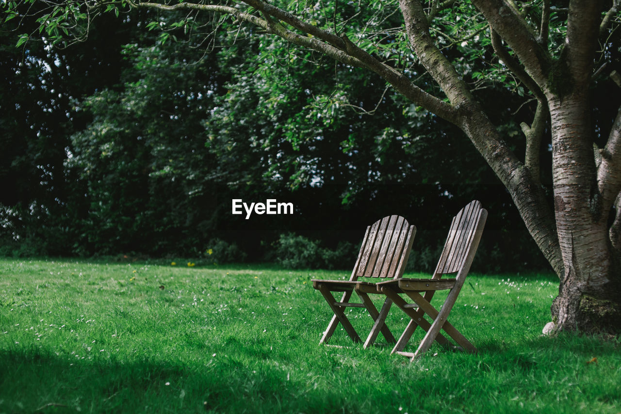 BENCH IN PARK