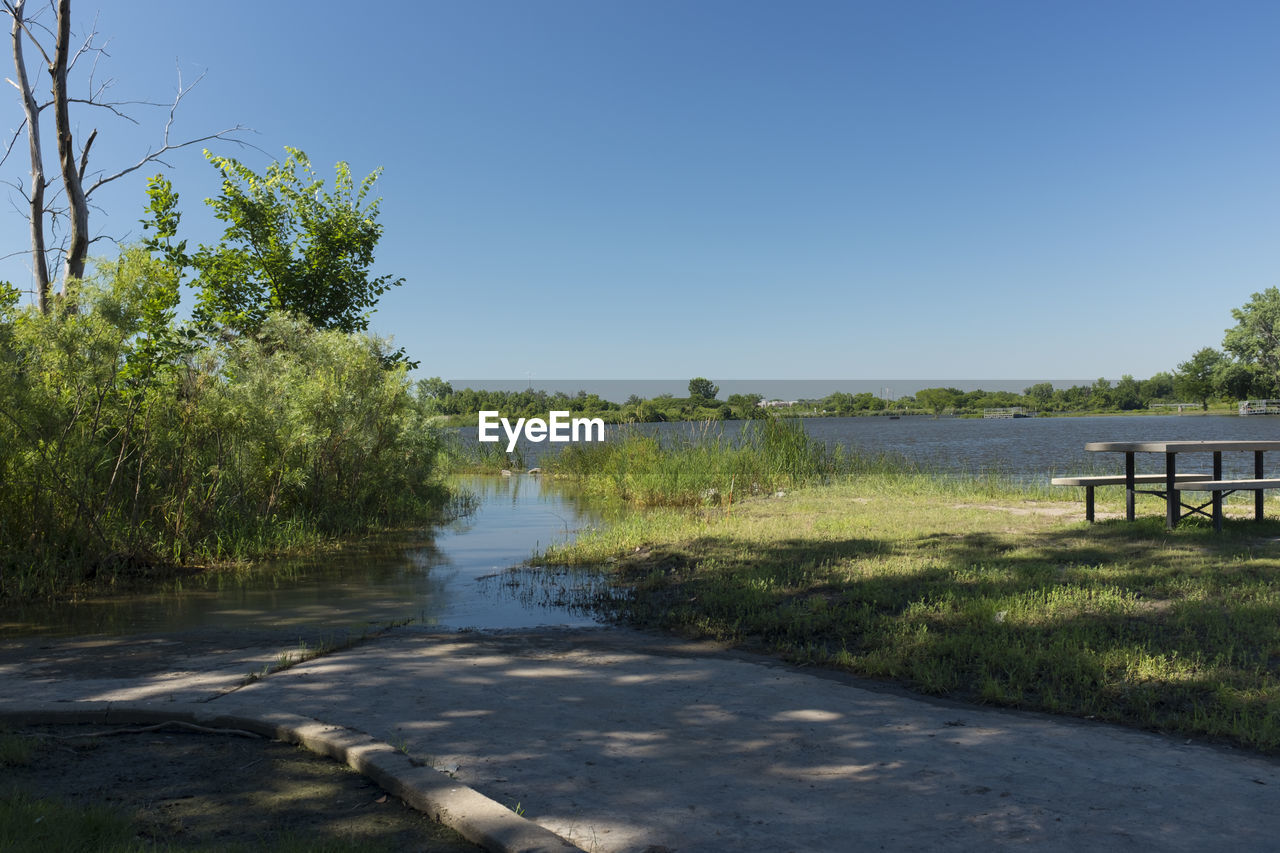 TREES BY LAKE AGAINST CLEAR SKY