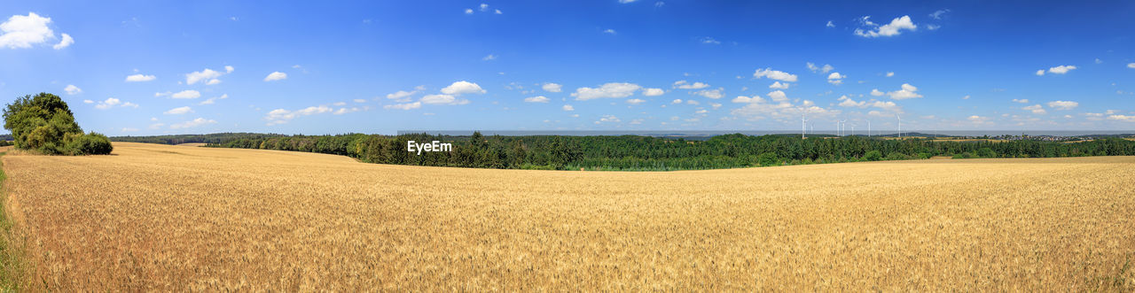 Panoramic view of field against sky