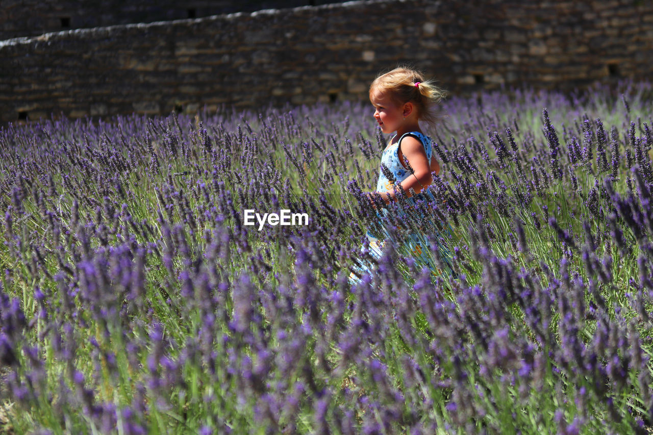 Child running in lavender field