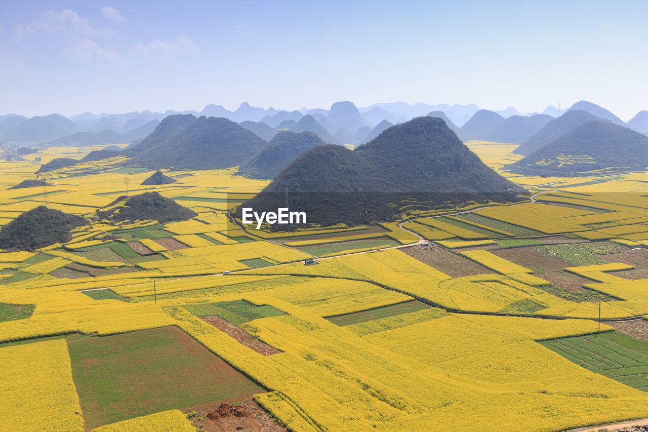 High angle view of oilseed rape farms against sky