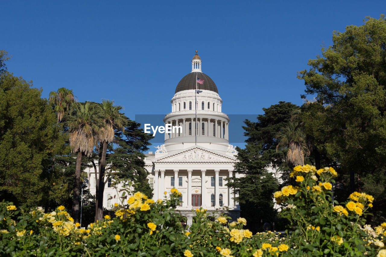 VIEW OF FLOWERING PLANTS AND TREES AGAINST BUILDING