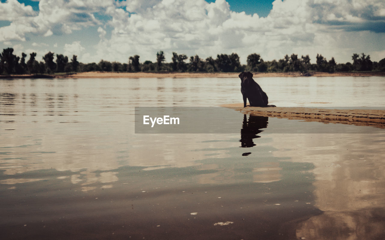 FULL LENGTH SIDE VIEW OF MAN ON LAKE AGAINST SKY